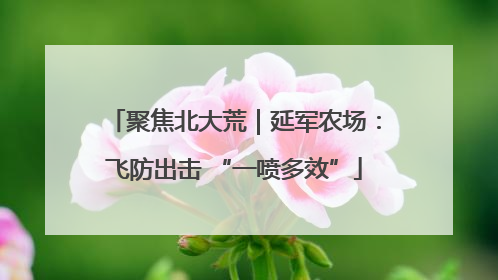 聚焦北大荒｜延军农场：飞防出击 “一喷多效”